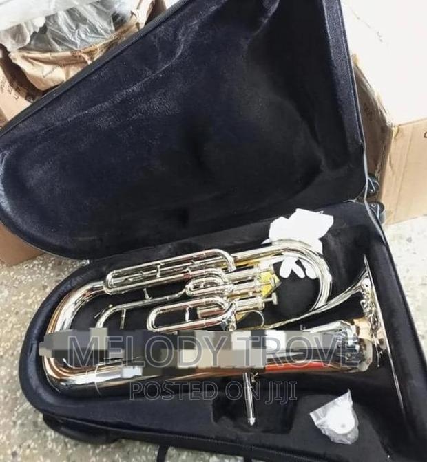Silver EUPHONIUM · Photo 2