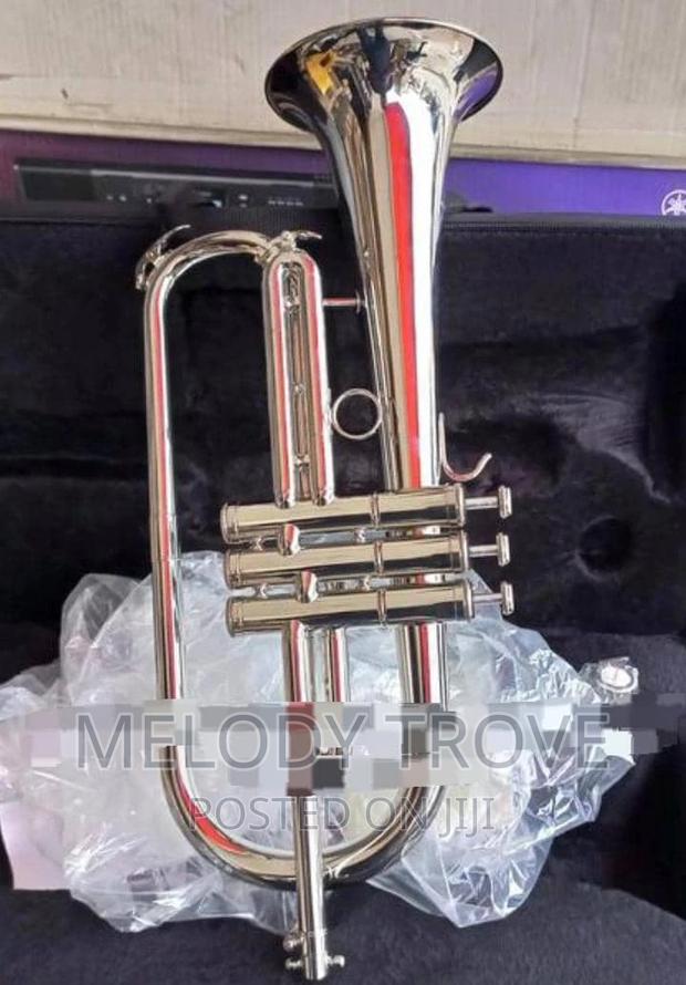 Flugel Horn · Photo 2
