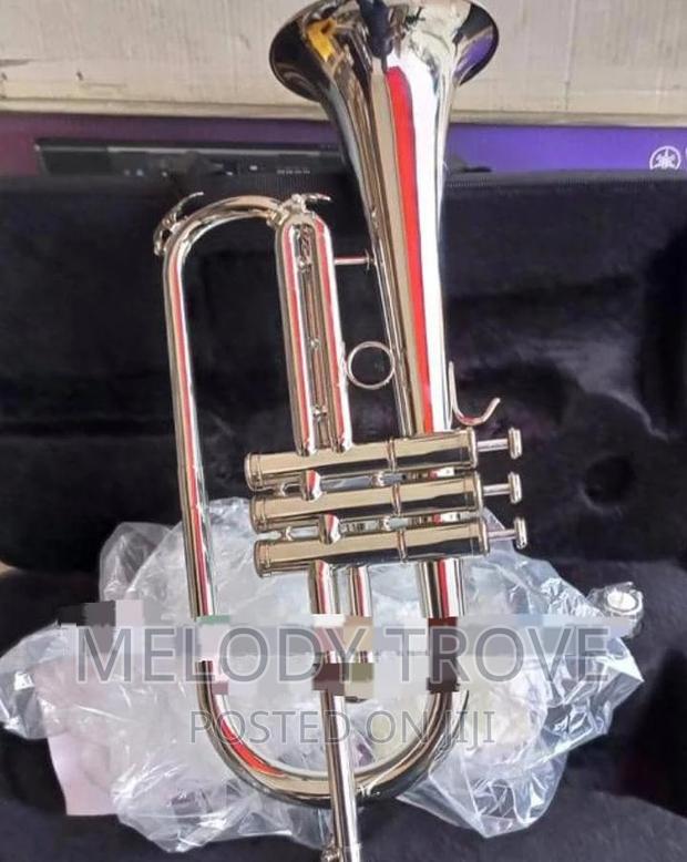 Flugel Horn · Photo 1