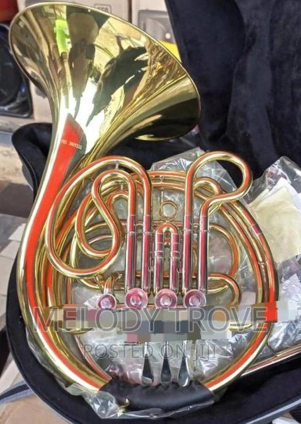 English French Horn · Photo 2
