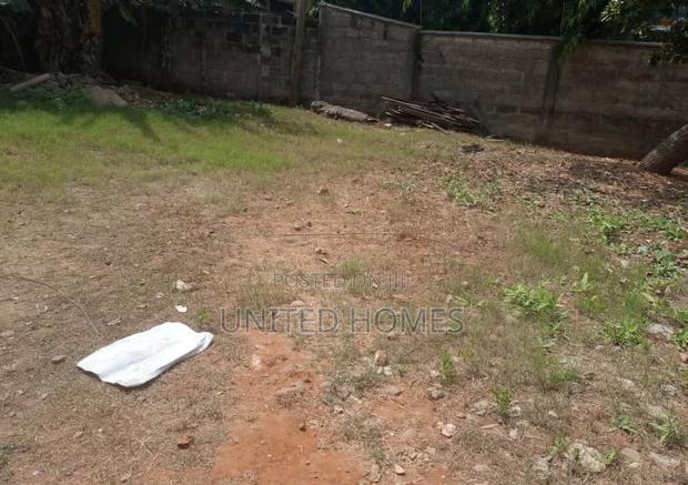 Amasaman Dobrom 8 Plot of Land for Sale · Photo 2