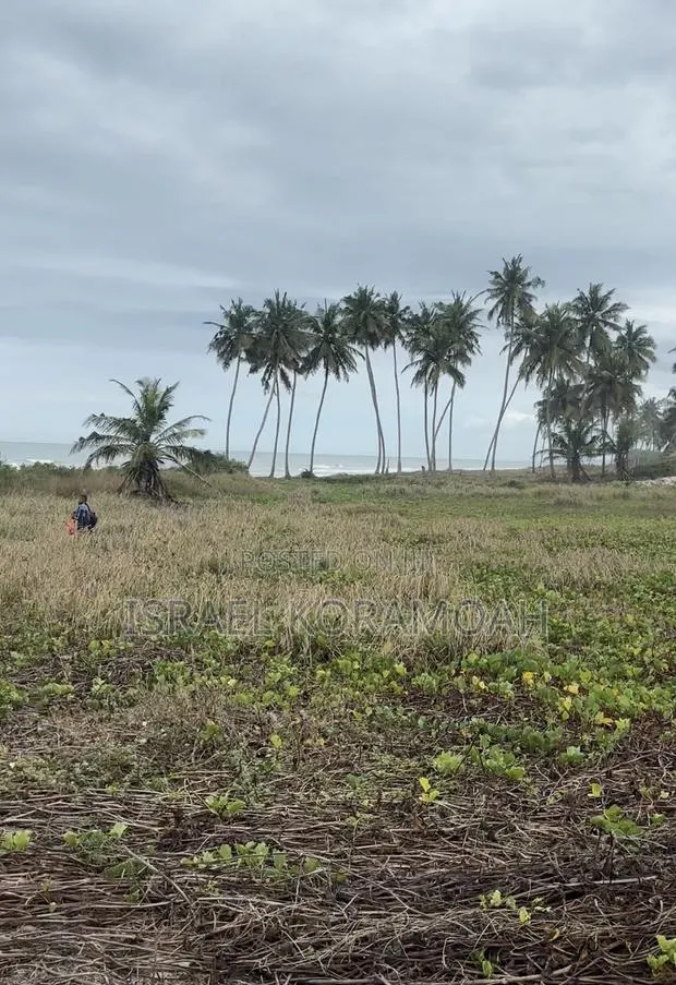 5 Acres of Prime Beachfront Land for Sale · Photo 1