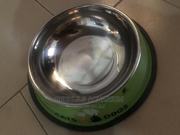 Quality Large Bowls for Dogs and Cat · Photo 1