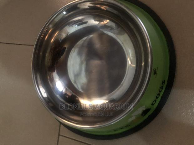 Quality Large Bowls for Dogs and Cat · Photo 2