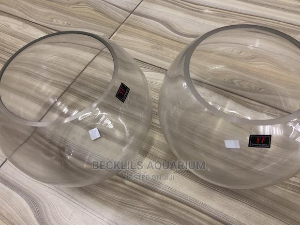 Large Fish Bowls · Photo 2