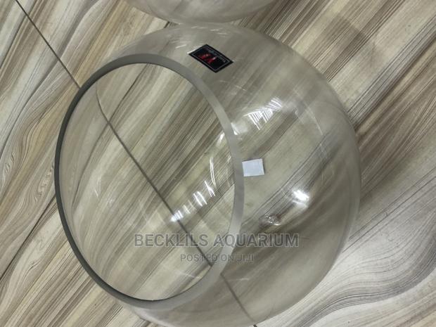 Large Fish Bowls · Photo 1