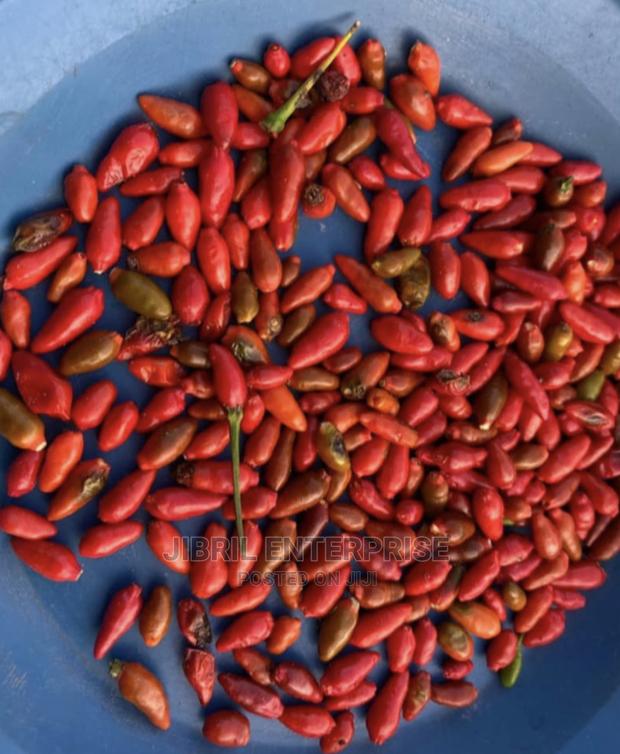 Pea Bird Eye Pepper · Photo 1