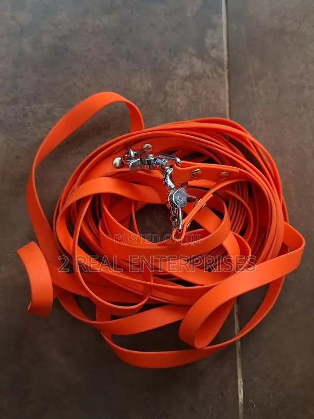10m Waterproof High-Vis Orange Dog Training Tracking Long Lead
