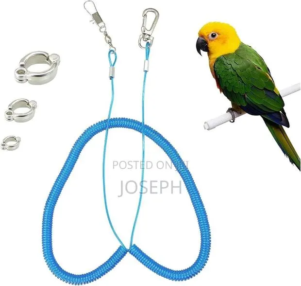 Bird Flying Leash/Rope · Photo 1