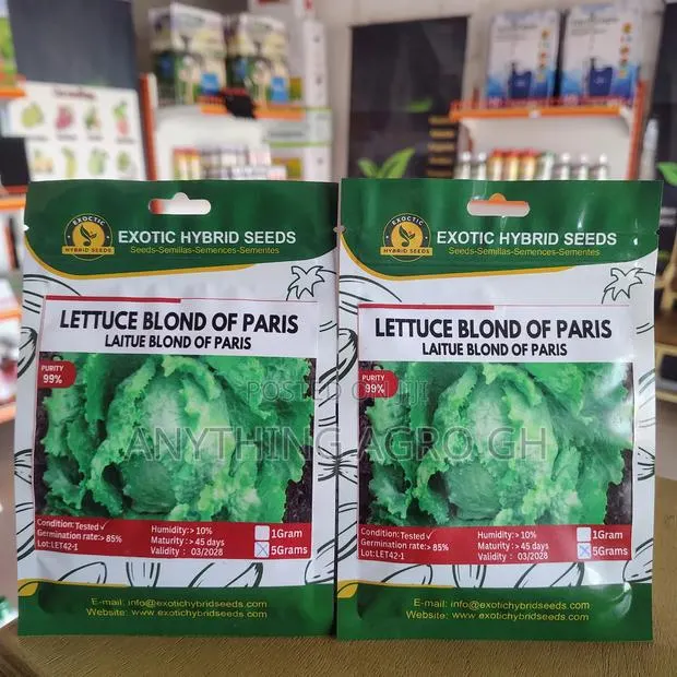 Lettuce Blond of Paris · Photo 1