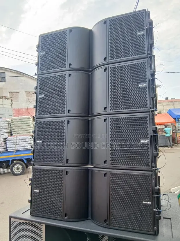 Ashley Line Array Speaker 10 Inches · Photo 5