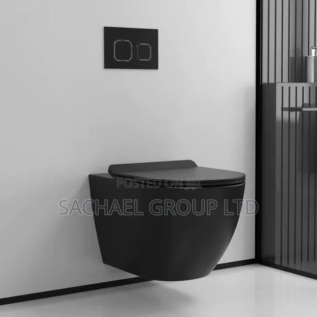 Black Concealed Water Closet · Photo 1