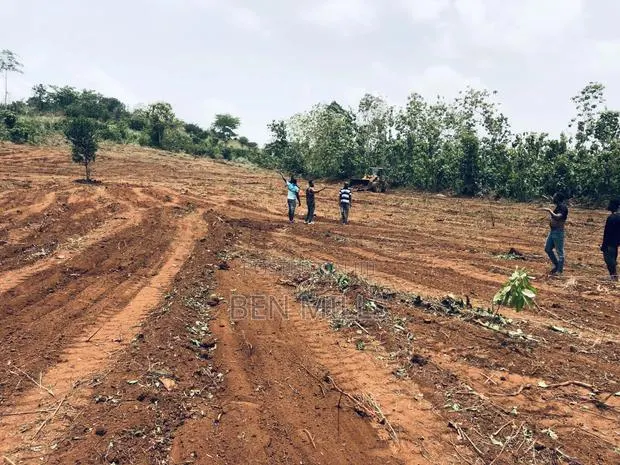 Genuine Land for Sale at Kofi Kwei - Ayidan · Photo 1
