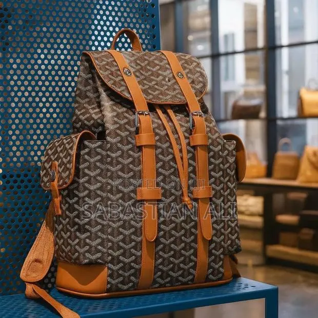 Goyard Canvas Tan Leather Backpack on Blue Perforated Bench · Photo 1