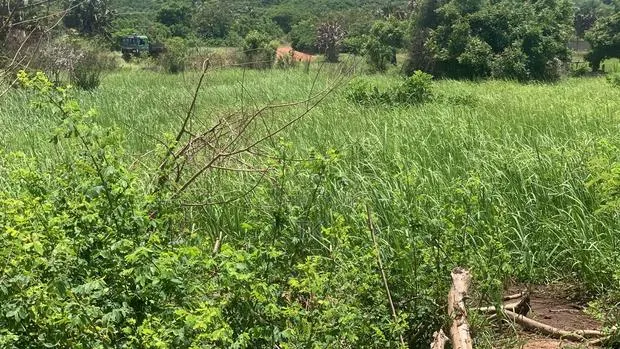 2plots Land for Sale at Dodowa · Photo 1