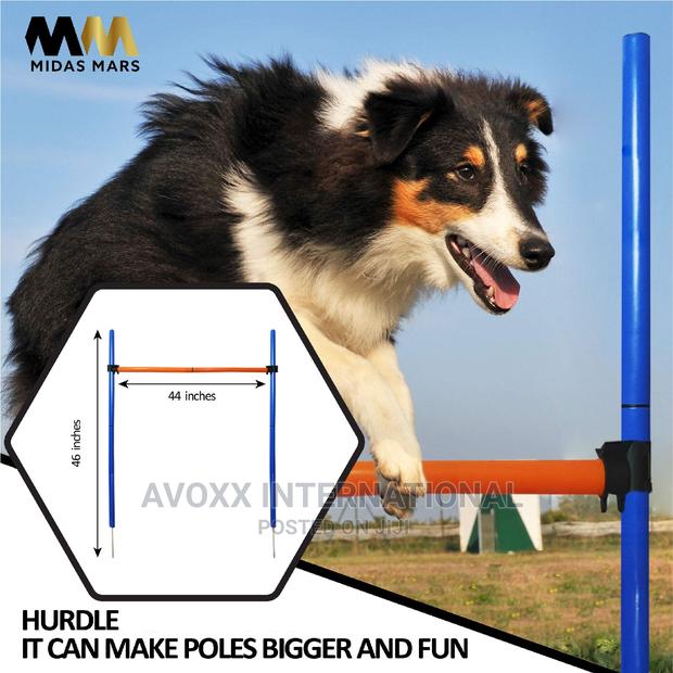 MIDAS MARS Dog Agility Equipment – Obstacle Course Training · Photo 3