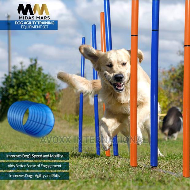 MIDAS MARS Dog Agility Equipment – Obstacle Course Training · Photo 6