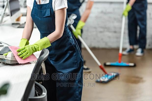 Professional CLEANING · Photo 1