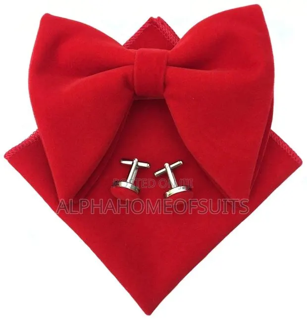 Bow Tie for Wedding · Photo 1