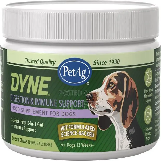 Dyne Chicken Digestion Immune Support Supplement for Dogs · Photo 1