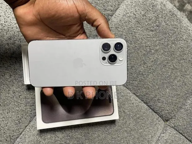 Apple iPhone 15 Pro Max 256 GB Silver · Photo 1