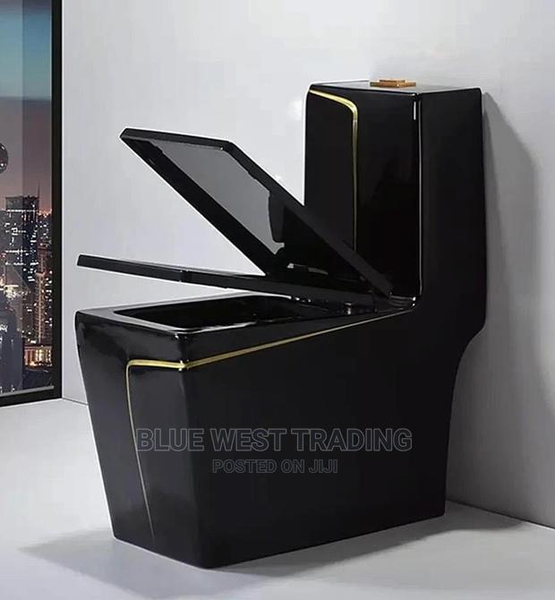 Black and Gold Water Closet · Photo 1