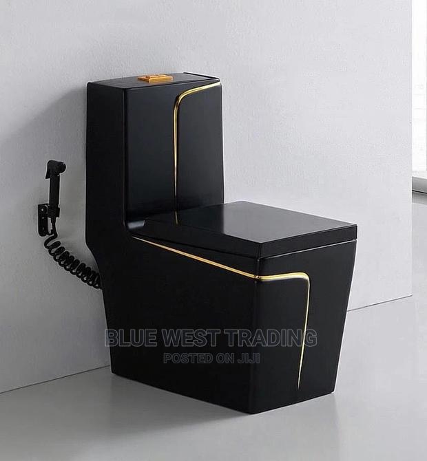 Black and Gold Water Closet · Photo 2