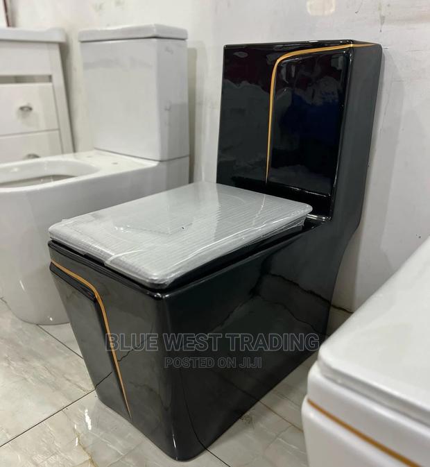 Black and Gold Water Closet · Photo 3