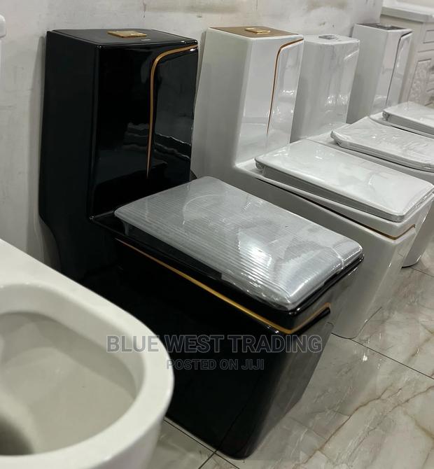 Black and Gold Water Closet · Photo 4