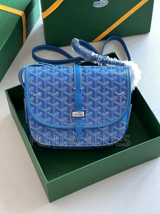 Goyard Side Bag · Photo 1