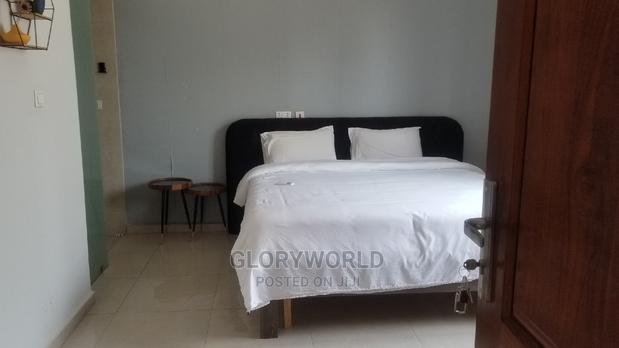 Furnished 2bdrm Apartment in Labone for rent · Photo 6