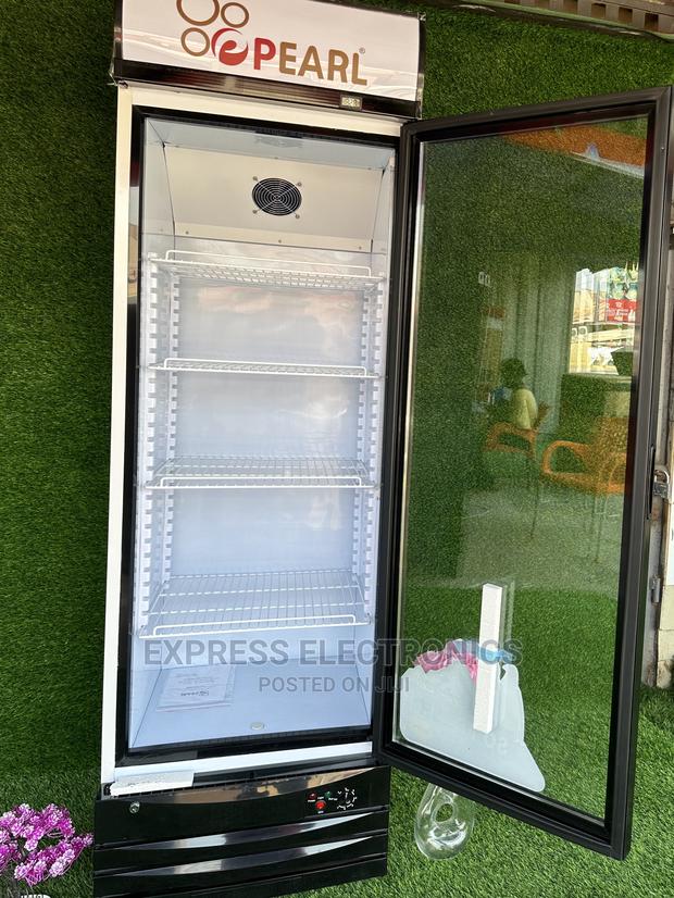 Feel Good Display Fridge Pearl Adjustableshelve PVC37 248L · Photo 1
