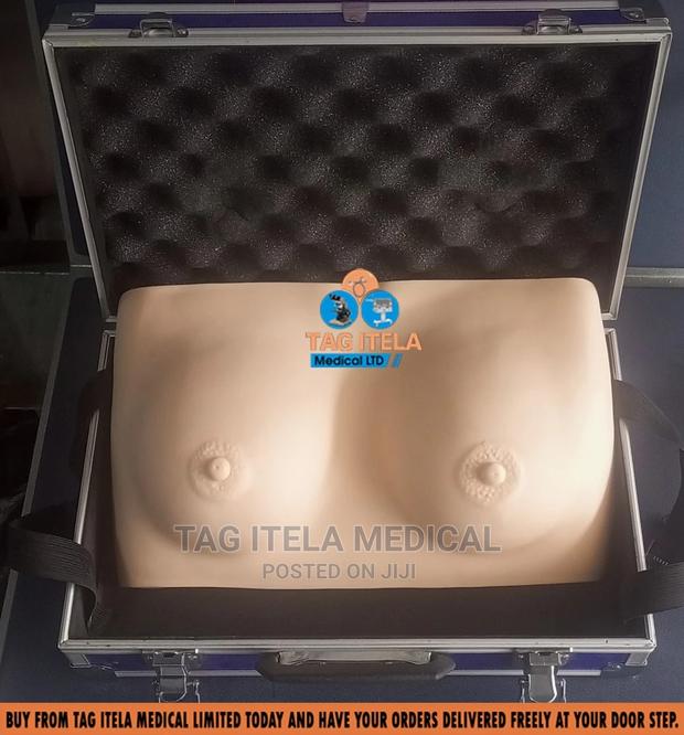 Anatomy Breast Model (Silicon) · Photo 1