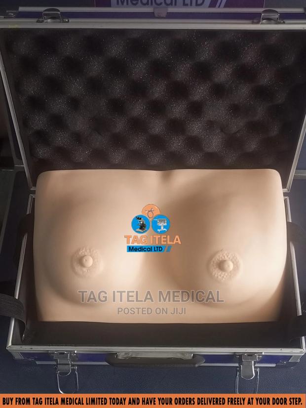 Anatomy Breast Model (Silicon) · Photo 2