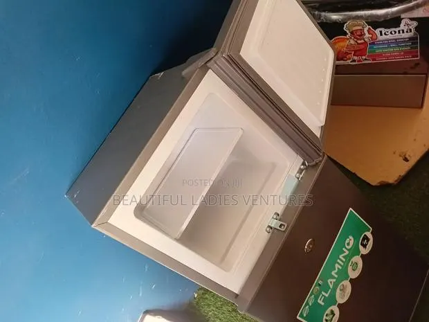 Flamino 80l Fridge – Space-Saving and Energy Efficient · Photo 1