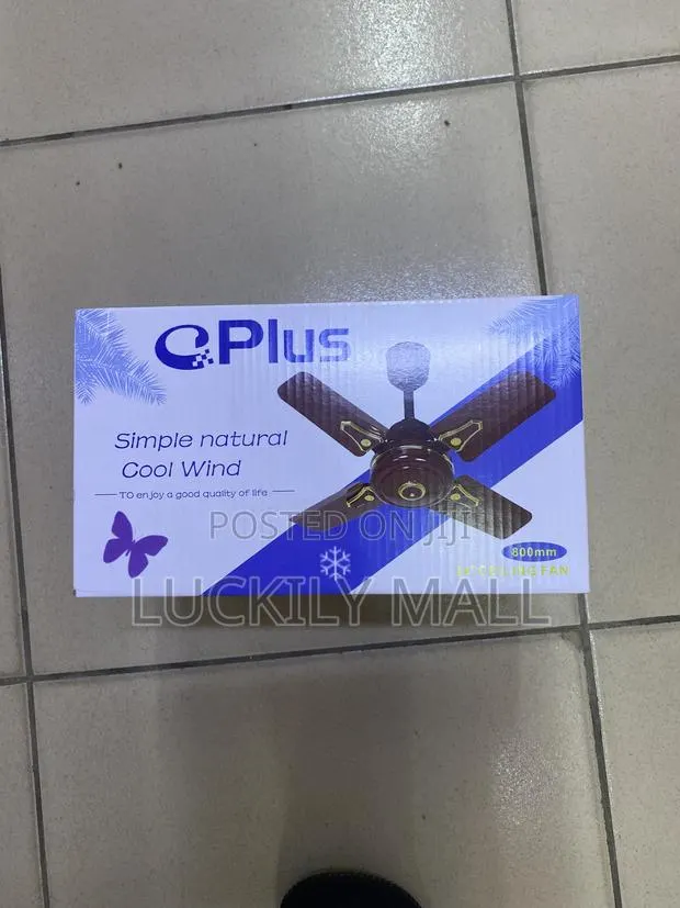 Ceiling Eplus Short Blade Fan · Photo 1