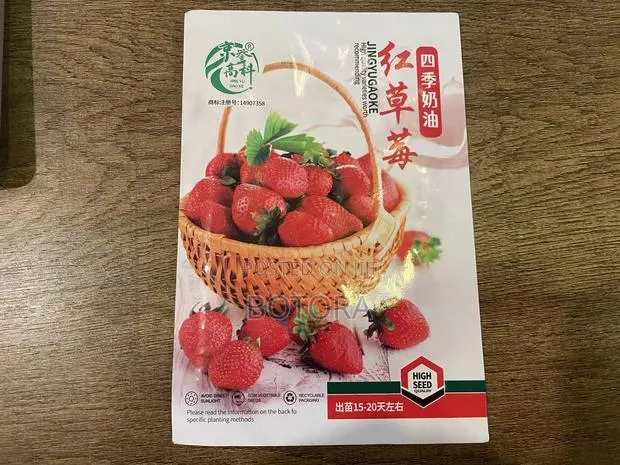 Sweet Strawberry Seeds for Planting – Home Garden, Balcony Pot Grow · Photo 1