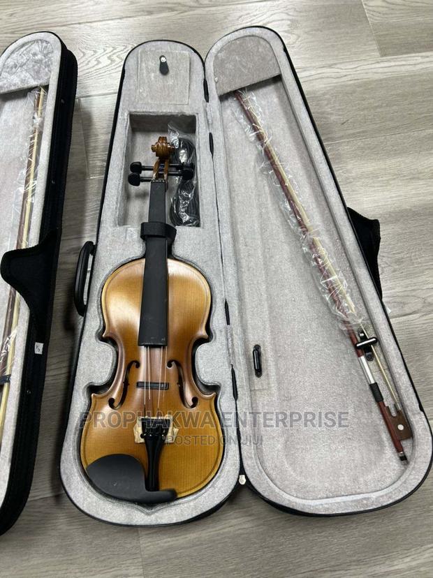 Olympic Semi Acoustic Violin · Photo 5