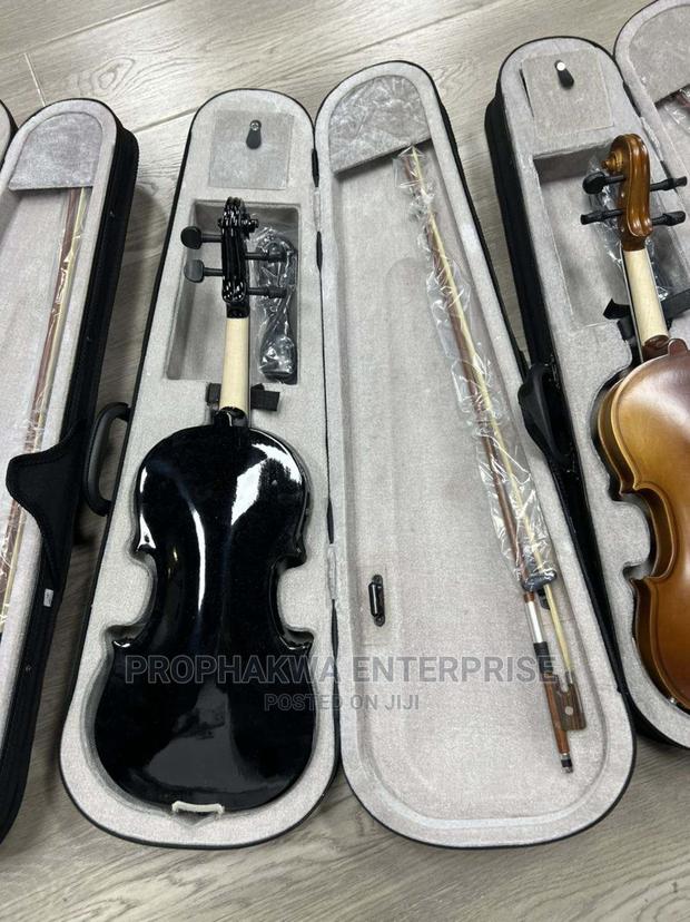 Olympic Semi Acoustic Violin · Photo 6