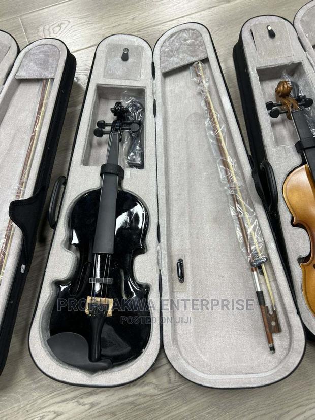Olympic Semi Acoustic Violin · Photo 7