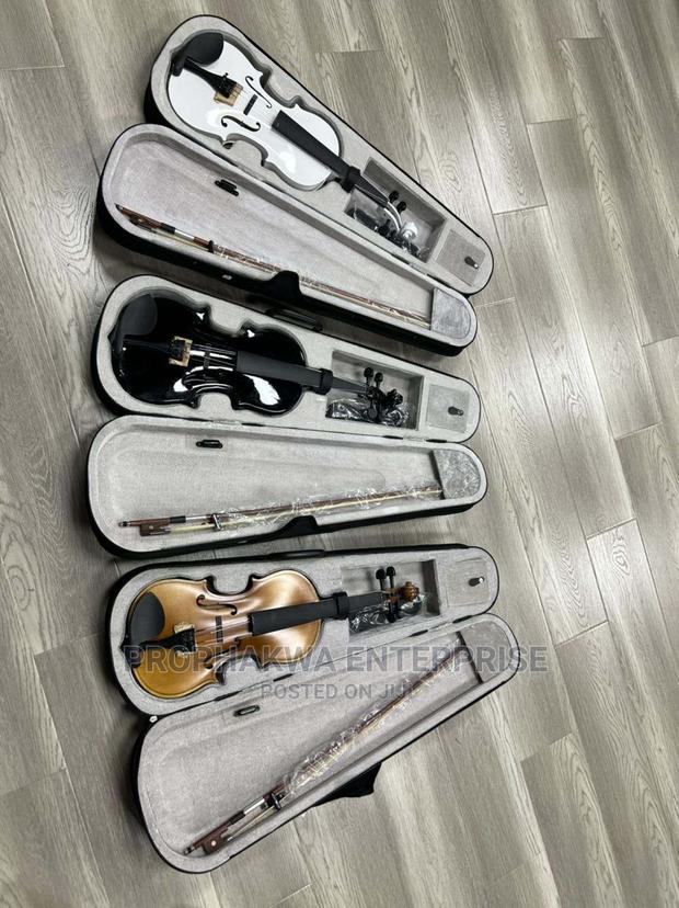 Olympic Semi Acoustic Violin · Photo 8