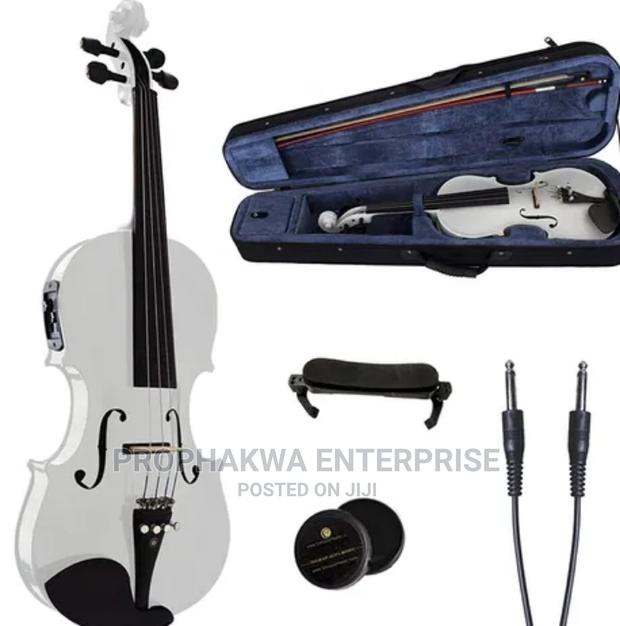 Olympic Semi Acoustic Violin · Photo 2