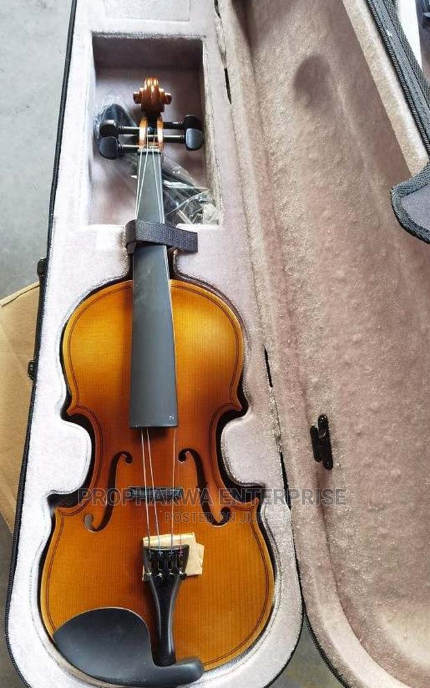 Olympic Semi Acoustic Violin · Photo 4