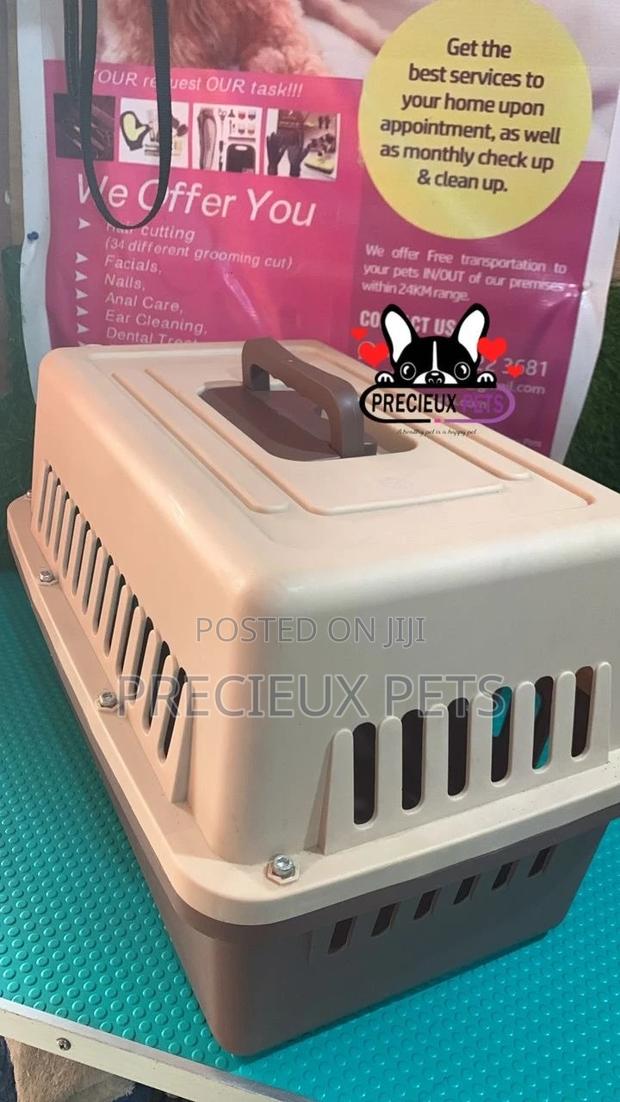 Portable Small Size Plastic Crate/Cage for Dogs and Cats · Photo 3