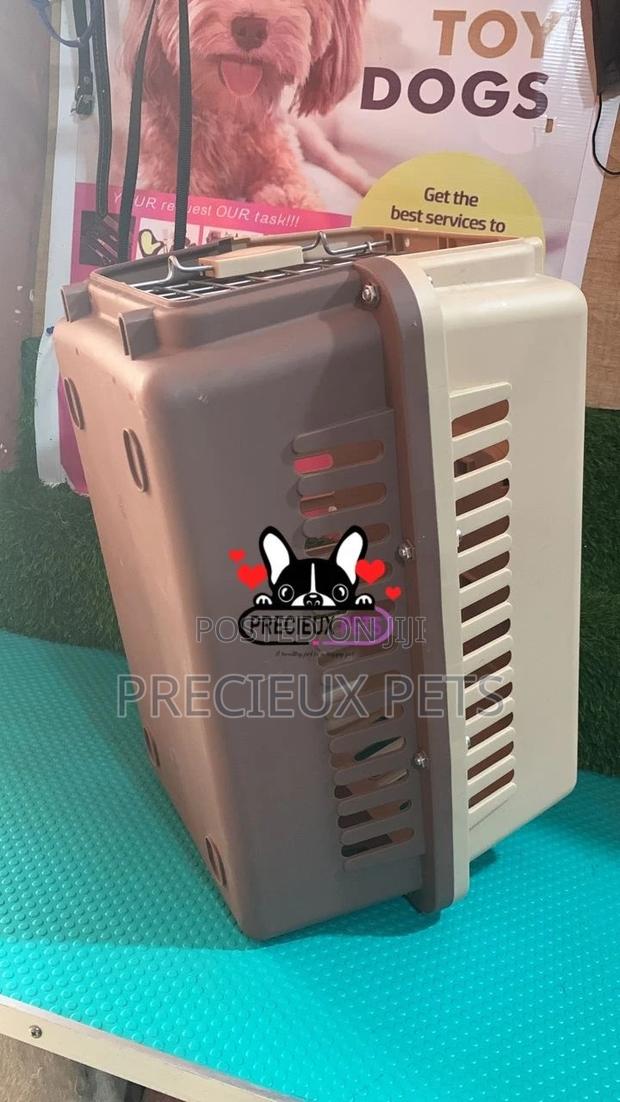 Portable Small Size Plastic Crate/Cage for Dogs and Cats · Photo 5
