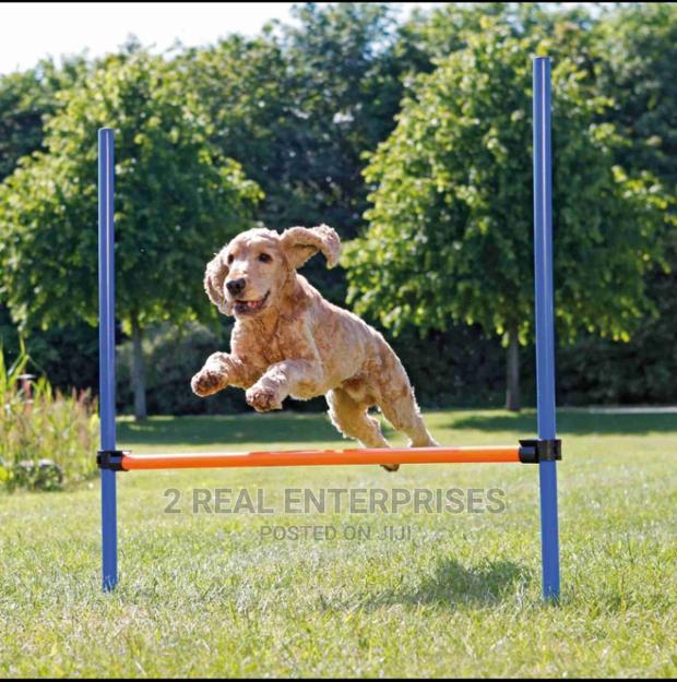 Dog Agility Hurdle · Photo 1