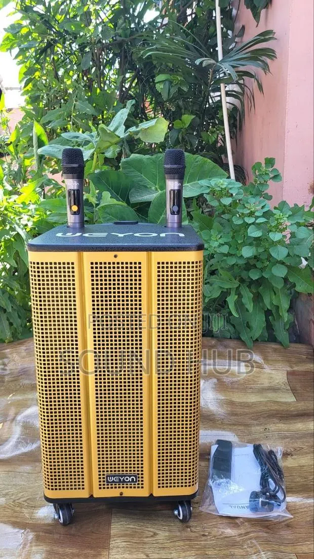 Professional 12'' Trolley Speaker With 2 Microphones · Photo 1