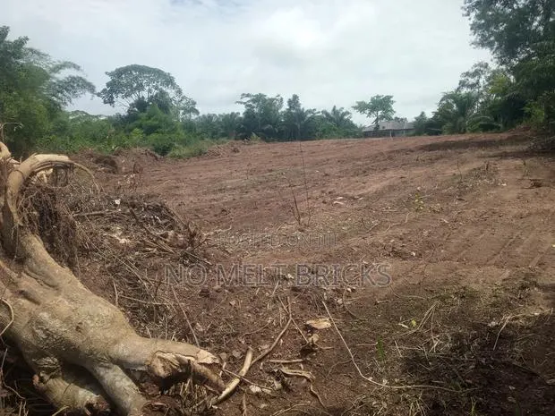 Land Surveyor · Photo 1