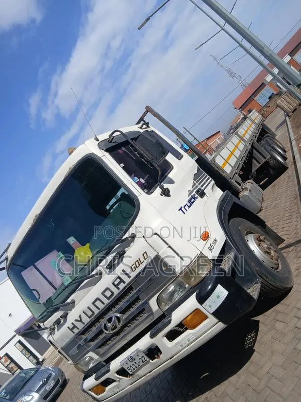 Hyundai Gold 9.50 Ton Double Axle · Photo 1