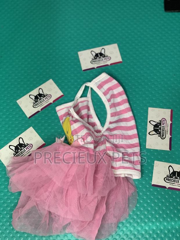 Toy Dog Clothings Series 0055 · Photo 1